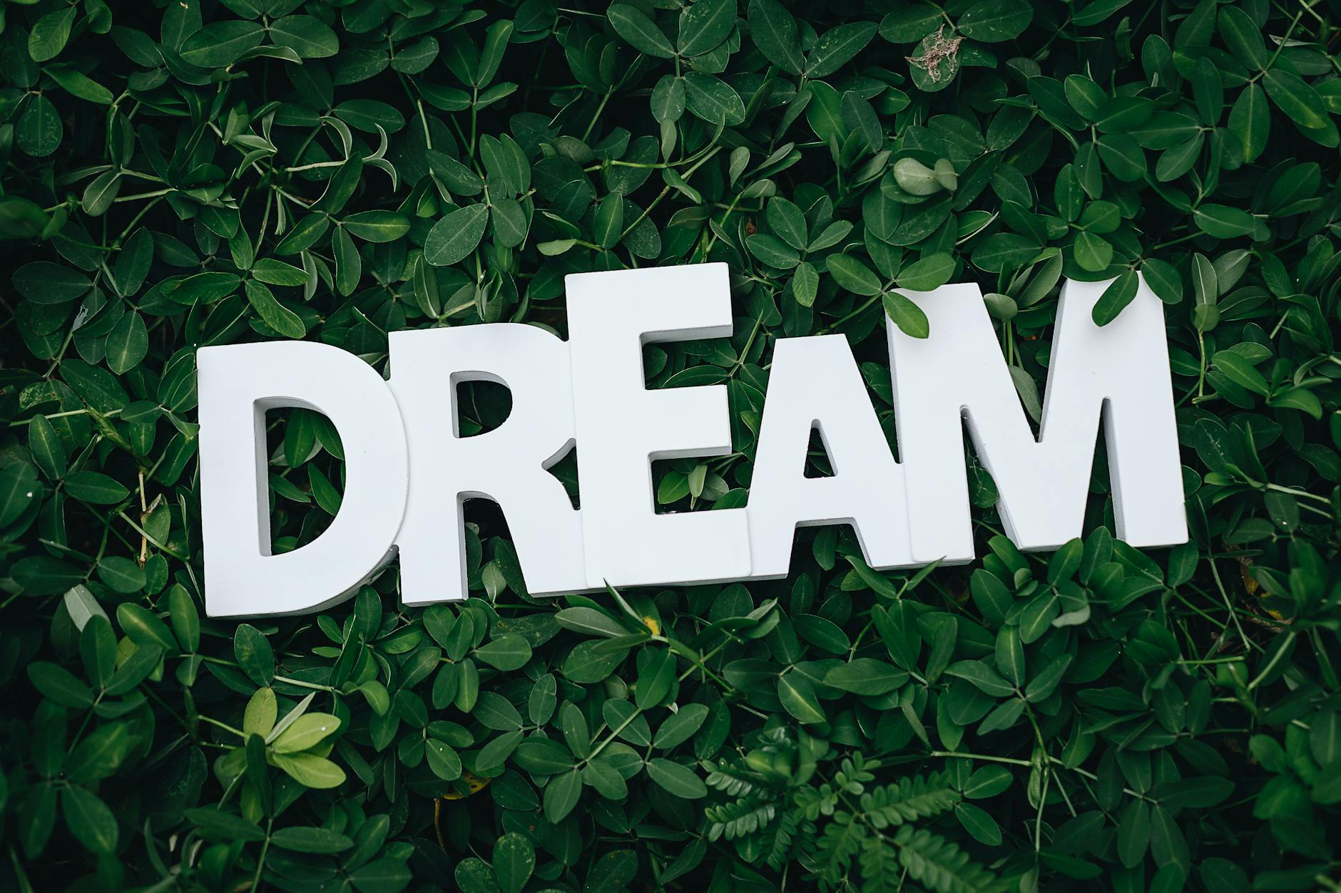 Dreams