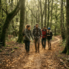 Four people hiking in a forest noticing mushrooms along the trail