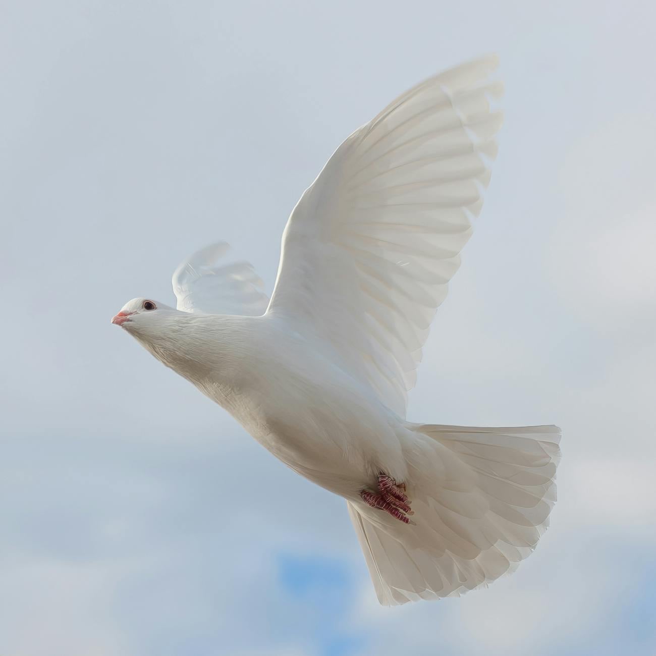 Remember Pentecost